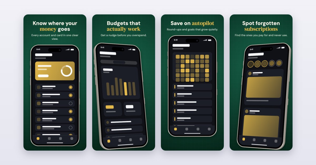 Ledger template preview